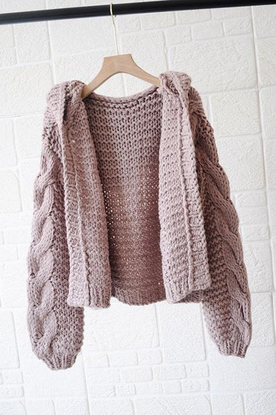Knit Loose Hoodie Cardigan