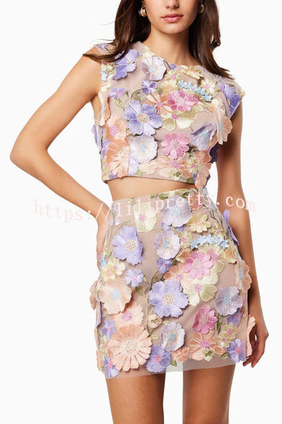 Sunday Charm Embroidered Floral Applique Crop Top and High Rise Mini Skirt Set