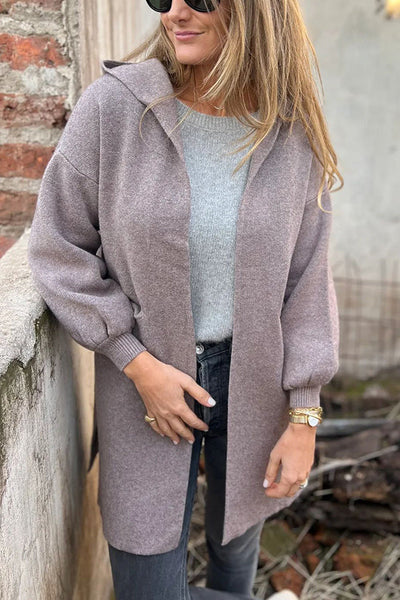 Solid Color Casual Hooded Long Sleeve Pocket Loose Jacket