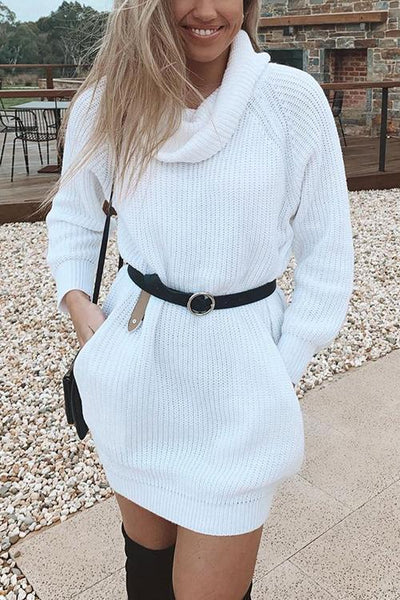 Pockets Cowl Neck Sweater Dress - girlyrose.com