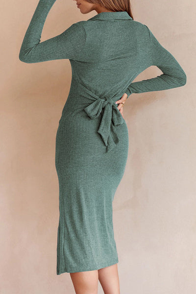 Celebrities Elegant Solid Solid Color Turndown Collar One Step Skirt Dresses