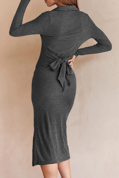 Celebrities Elegant Solid Solid Color Turndown Collar One Step Skirt Dresses