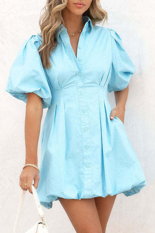 Celebrities Elegant Solid Printing Turndown Collar Shirt Dress Dresses