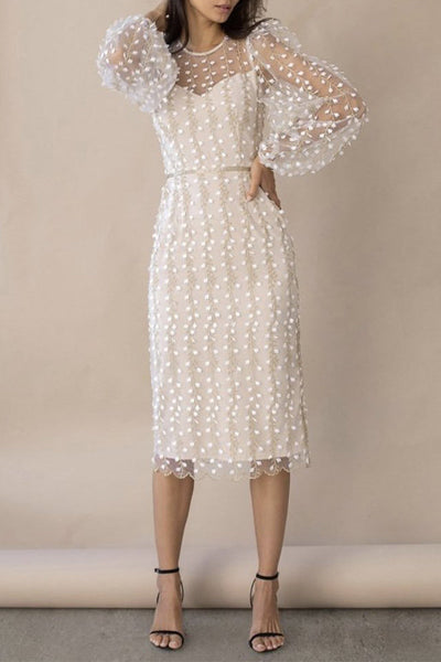 Celebrities Elegant Solid Embroidered See-through O Neck Bandage Dress Dresses