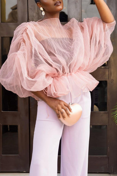 Casual Solid See-through O Neck Tops