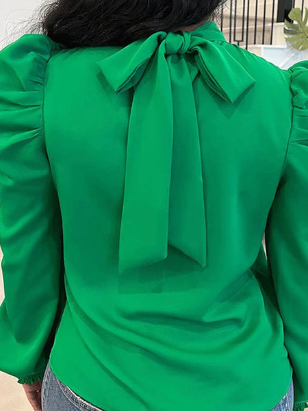 Leisure Long Sleeves Fluffy Ruched Stand Collar Blouses&Shirts Tops