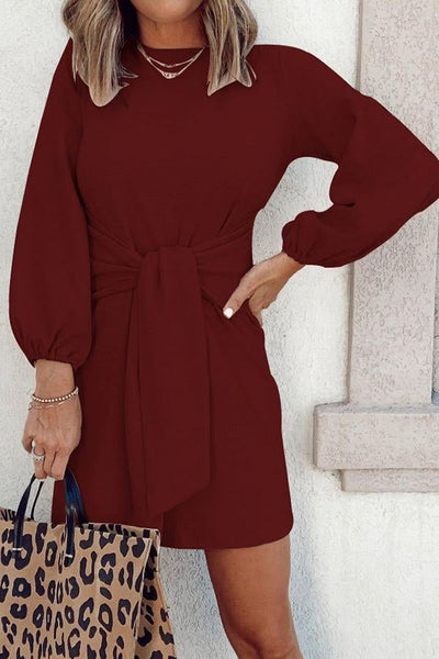 Knot Waist Long Sleeve Mini Dress