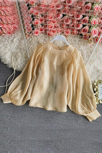 Gleamingly Organza Puff Sleeve Blouse