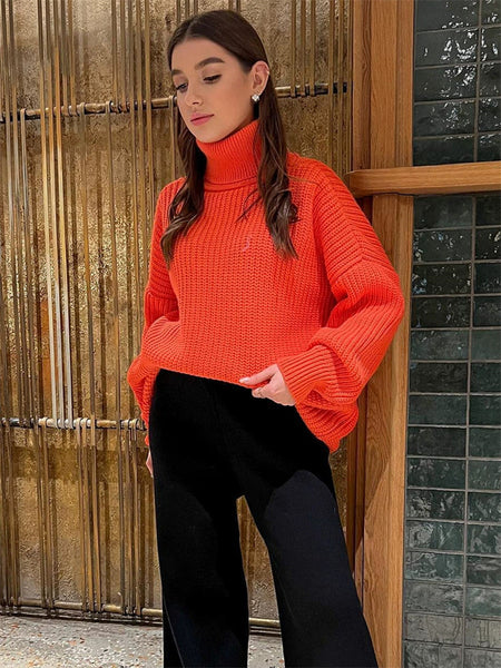 Thick Casual Turtleneck Solid Color Knitted Sweater-Corachic