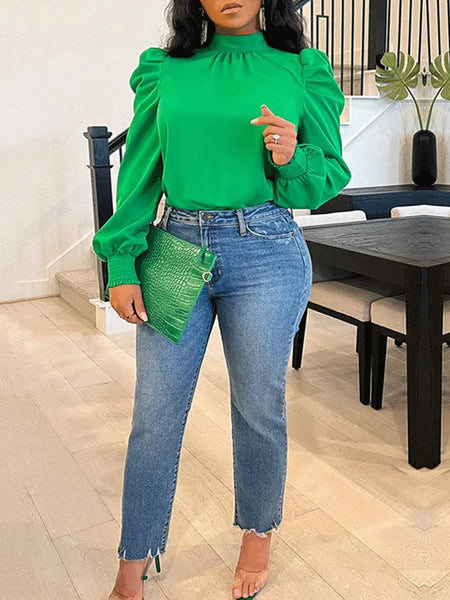 Leisure Long Sleeves Fluffy Ruched Stand Collar Blouses&Shirts Tops